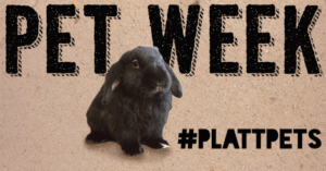 Platt Pet Week August 3rd -7th