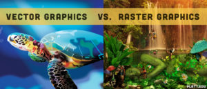 The Difference Between Vector Graphics and Raster Graphics