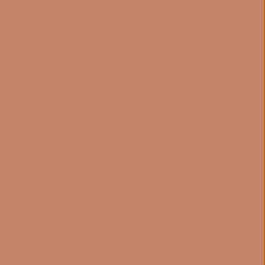 the color "Terracotta"